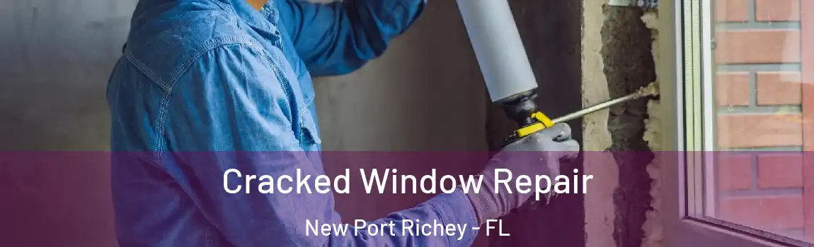 Cracked Window Repair New Port Richey - FL