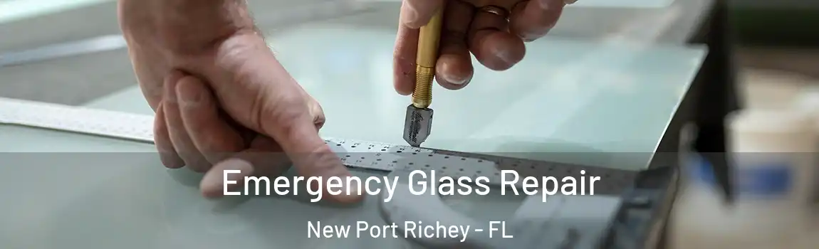  Emergency Glass Repair New Port Richey - FL