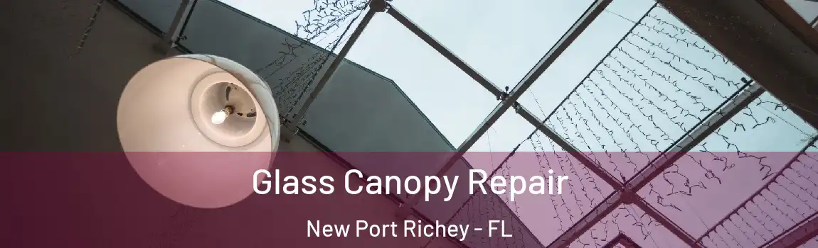  Glass Canopy Repair New Port Richey - FL