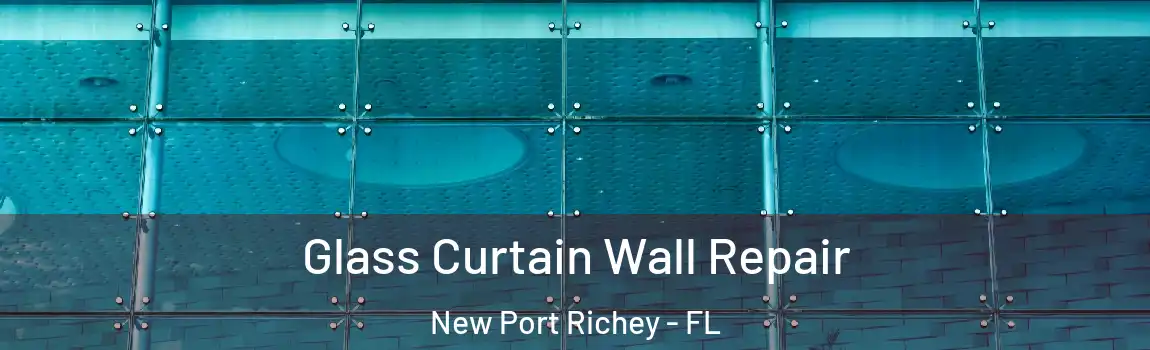  Glass Curtain Wall Repair New Port Richey - FL