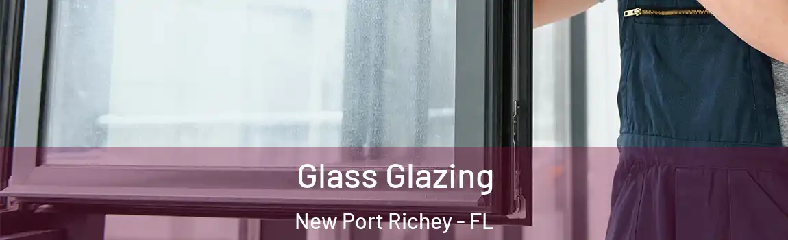Glass Glazing New Port Richey - FL