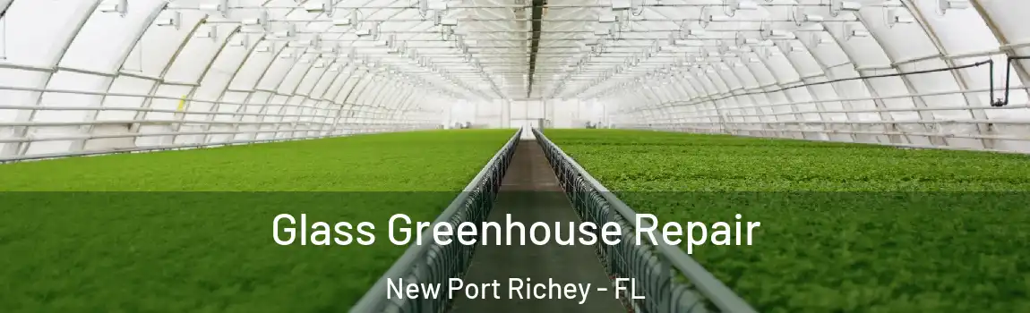  Glass Greenhouse Repair New Port Richey - FL
