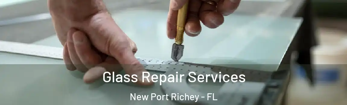  Glass Repair Services New Port Richey - FL
