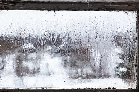 Defogging Double Pane Windows in New Port Richey, FL