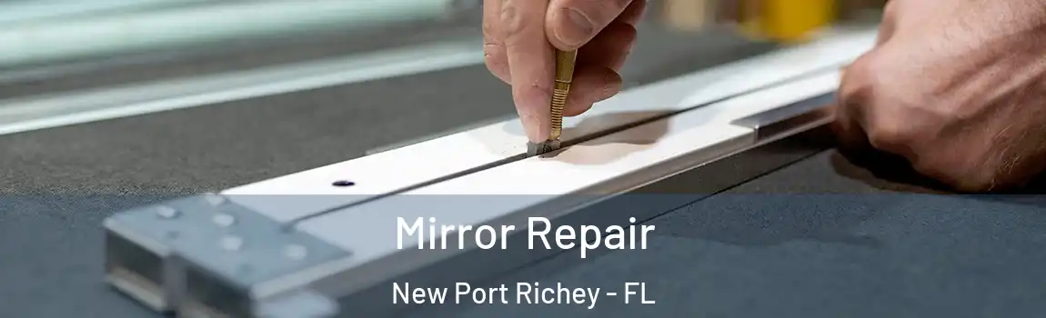 Mirror Repair New Port Richey - FL