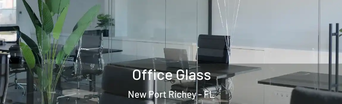 Office Glass New Port Richey - FL