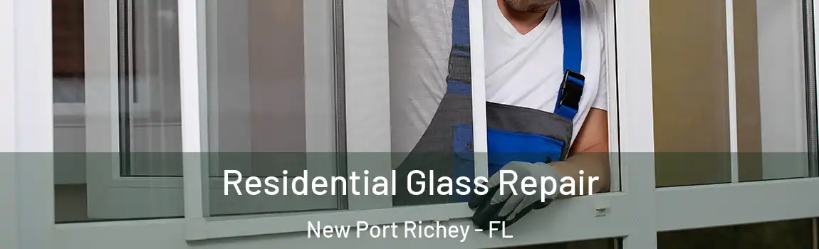  Residential Glass Repair New Port Richey - FL