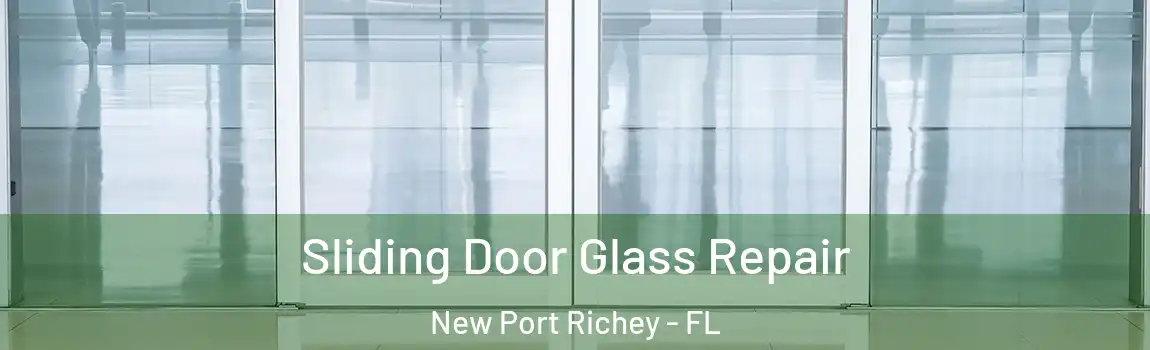  Sliding Door Glass Repair New Port Richey - FL