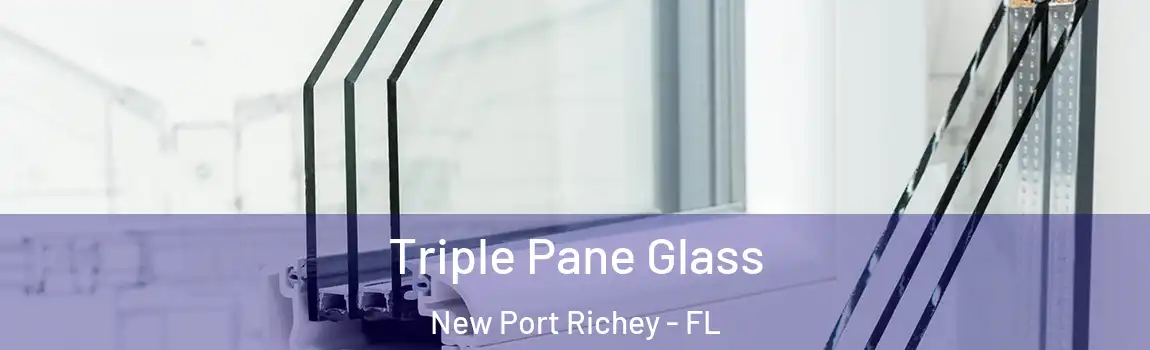 Triple Pane Glass New Port Richey - FL