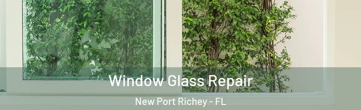  Window Glass Repair New Port Richey - FL