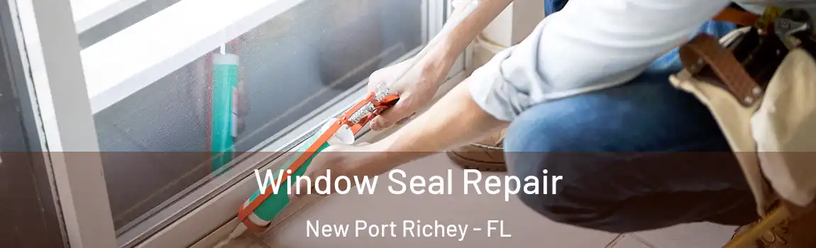 Window Seal Repair New Port Richey - FL